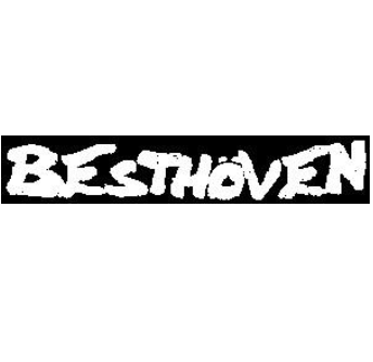 BESTHOVEN - Name - Patch